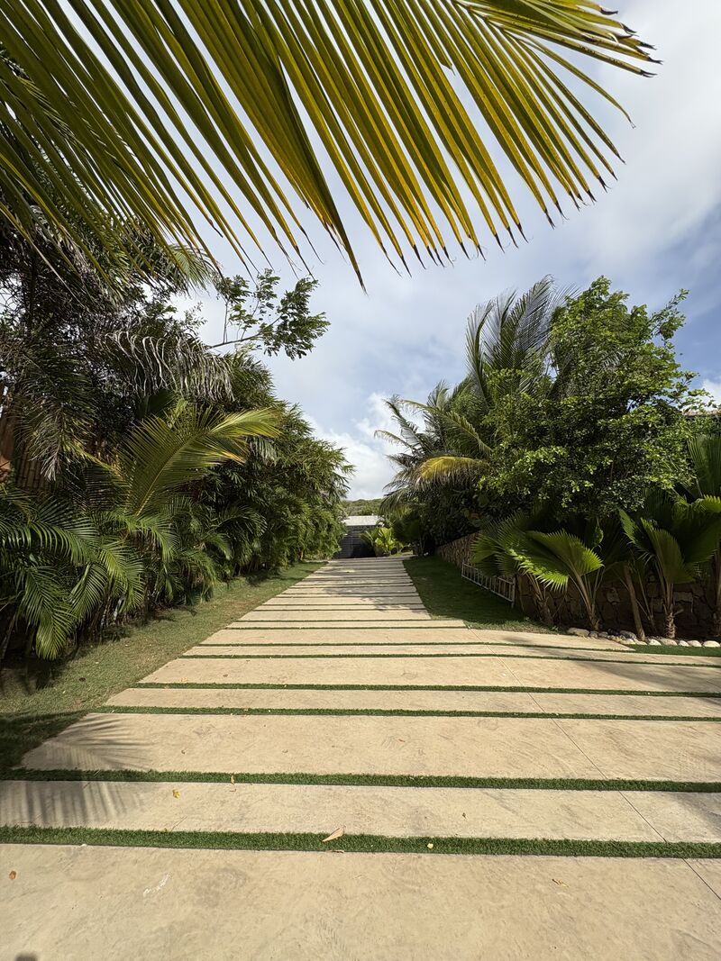 LA IMPORTANCIA DE VIVIR RODEADO DE ZONAS VERDES